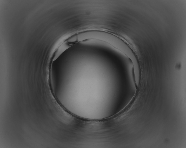 X0000091461188200708301824