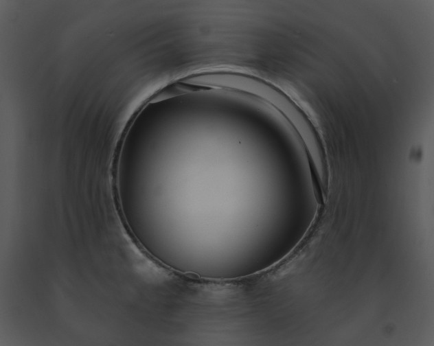 X0000091461189200708301824