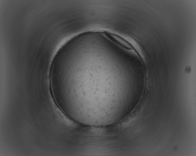 X0000091461191200708301824