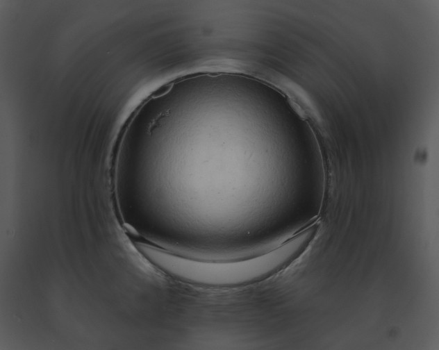 X0000091461192200708301824