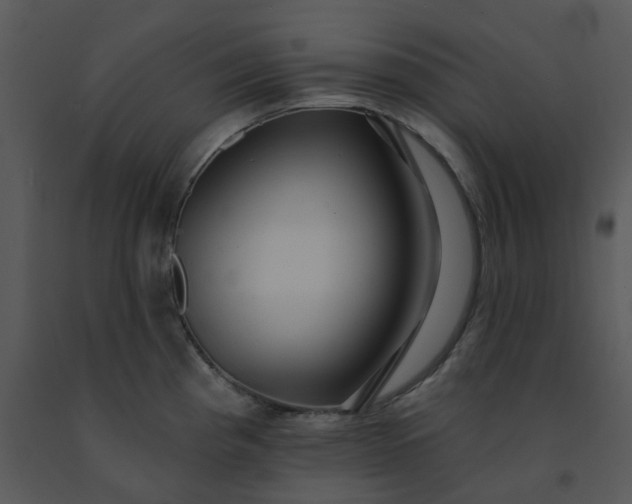 X0000091461193200708301824