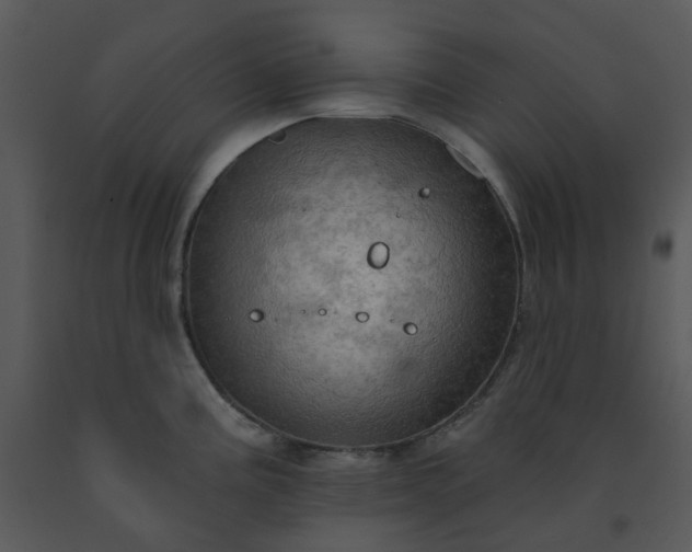 X0000091461195200708301824