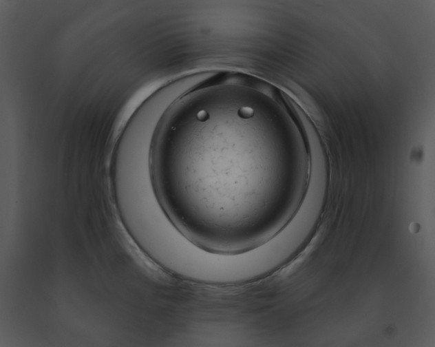 X0000091461196200708301824