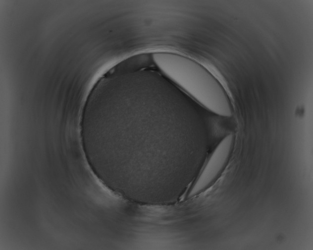 X0000091461197200708301824