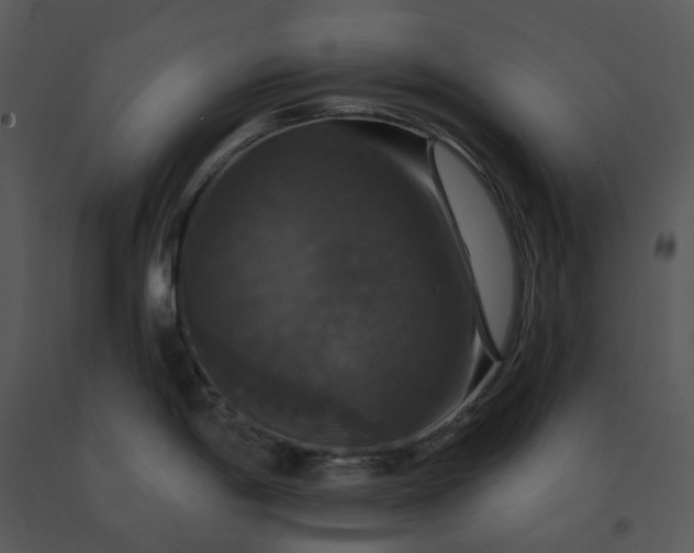 X0000091461198200708301824