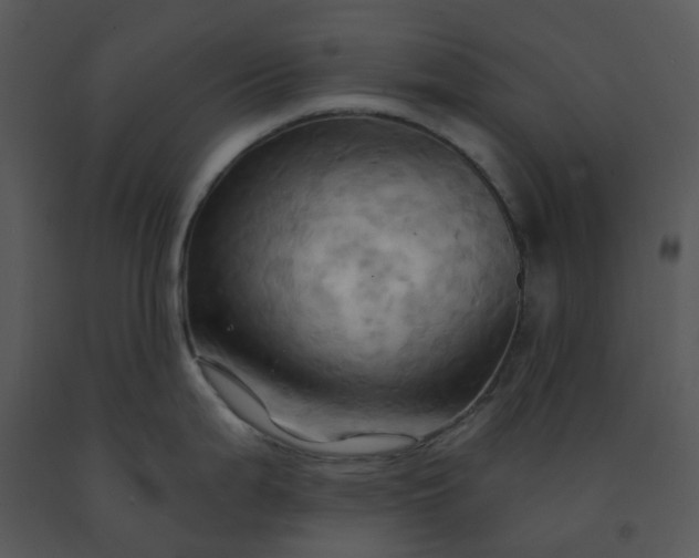 X0000091461199200708301824