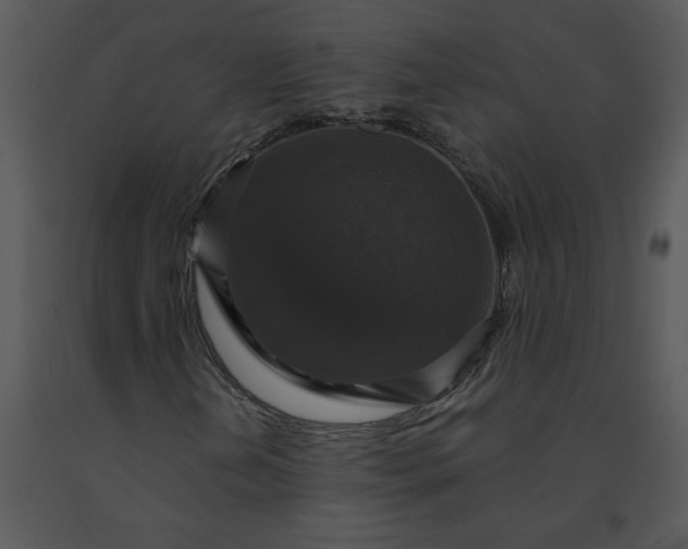 X0000091461202200708301824