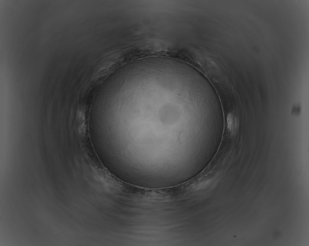 X0000091461203200708301824