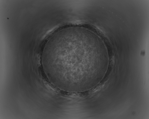 X0000091461205200708301824