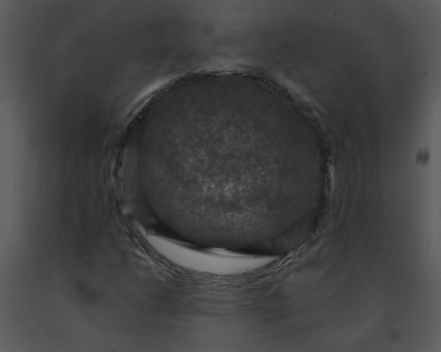 X0000091461206200708301824