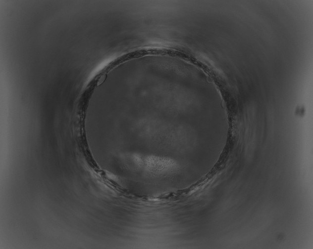 X0000091461208200708301824