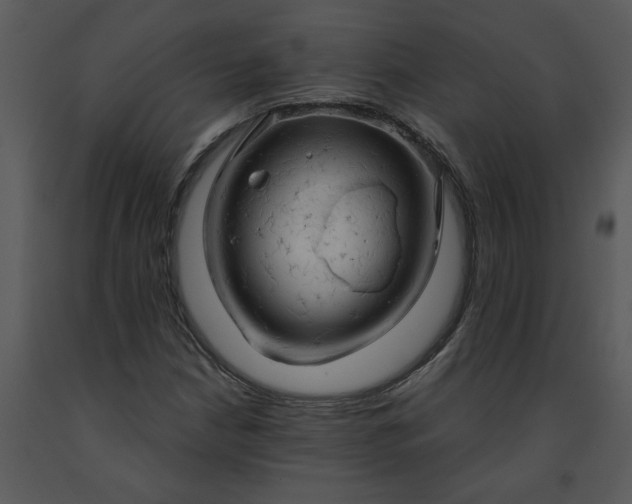 X0000091461210200708301824