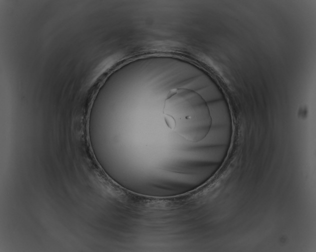 X0000091461211200708301824