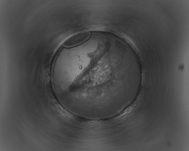 X0000091461212200708301824