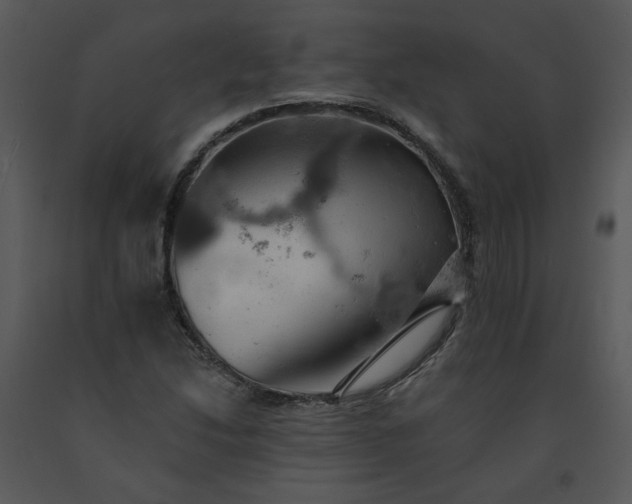 X0000091461214200708301824