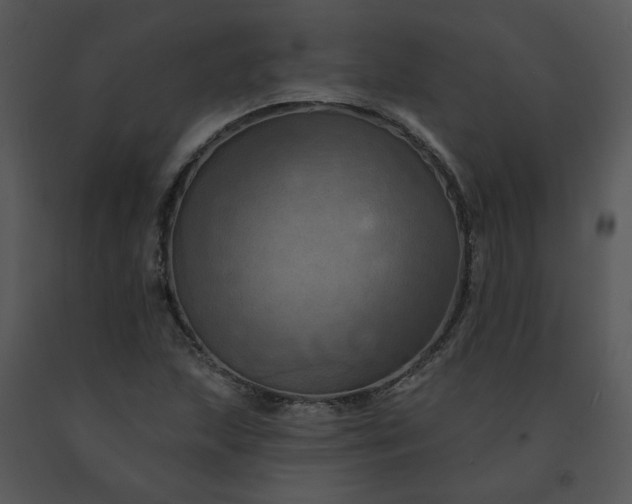 X0000091461215200708301824