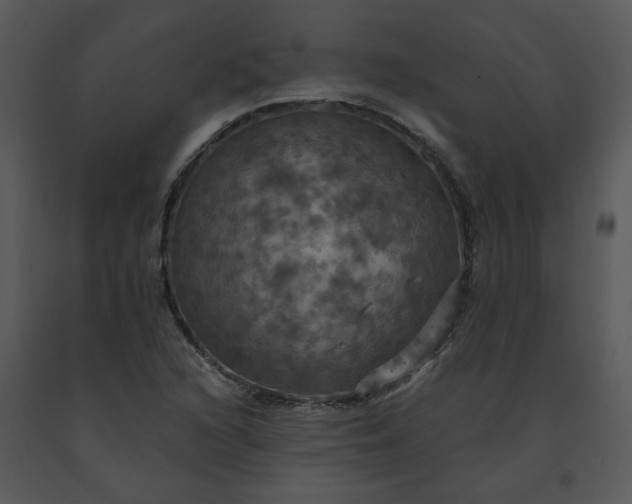 X0000091461216200708301824