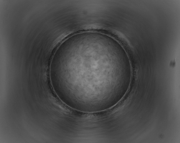 X0000091461217200708301824