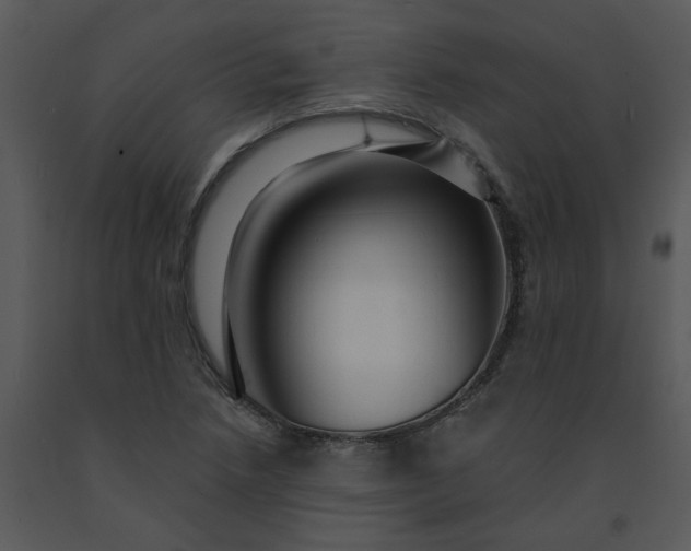 X0000091461218200708301824