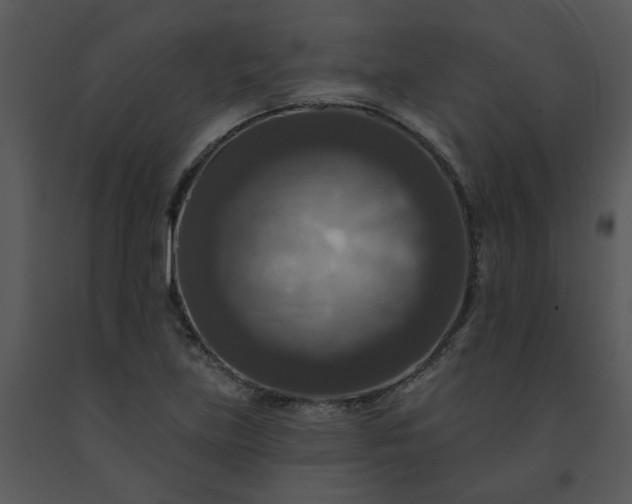 X0000091461219200708301824