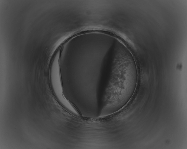 X0000091461221200708301824