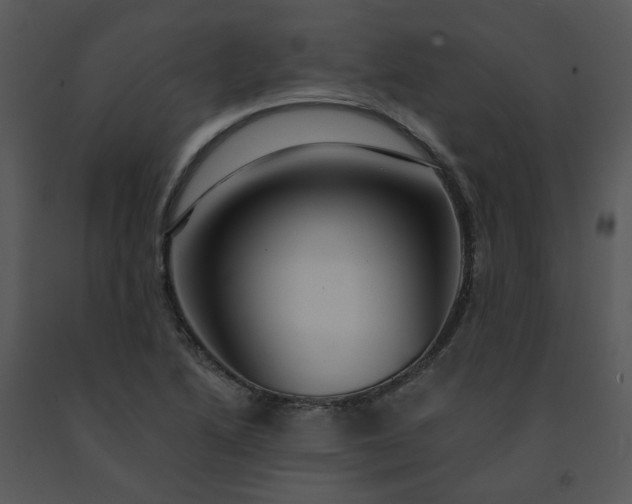 X0000091461222200708301824