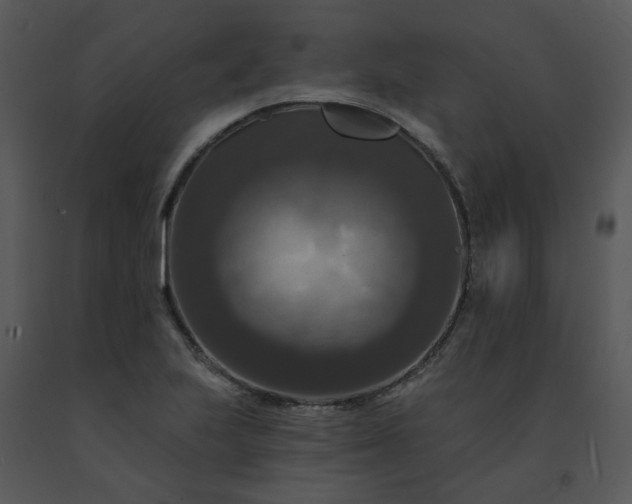 X0000091461223200708301824