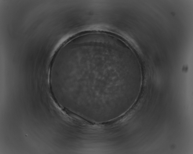 X0000091461224200708301824