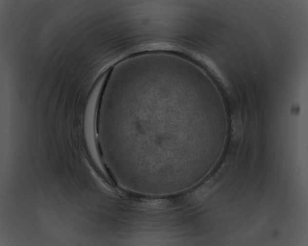 X0000091461225200708301824