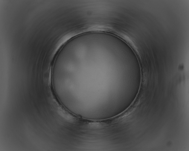 X0000091461227200708301824