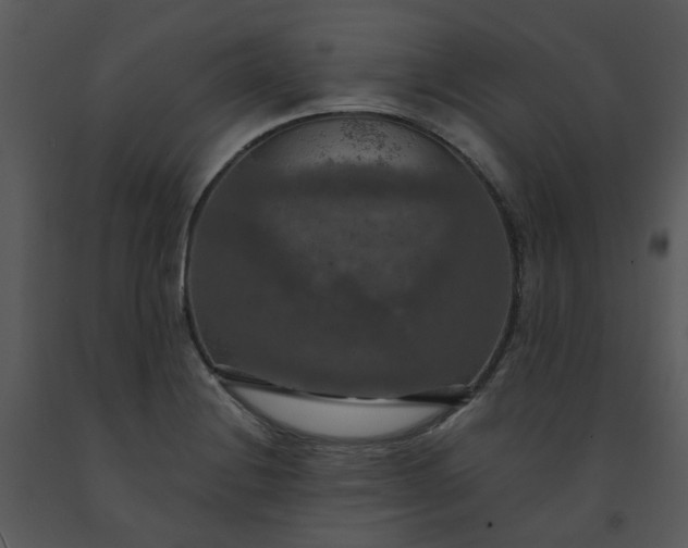 X0000091461228200708301824