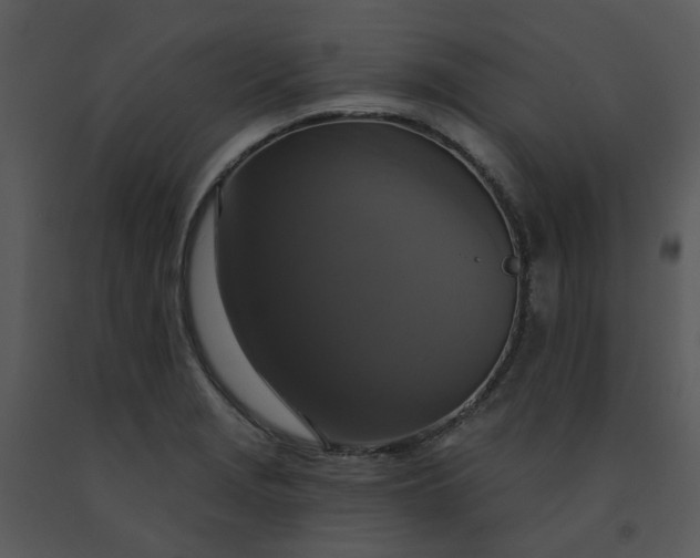 X0000091461229200708301824