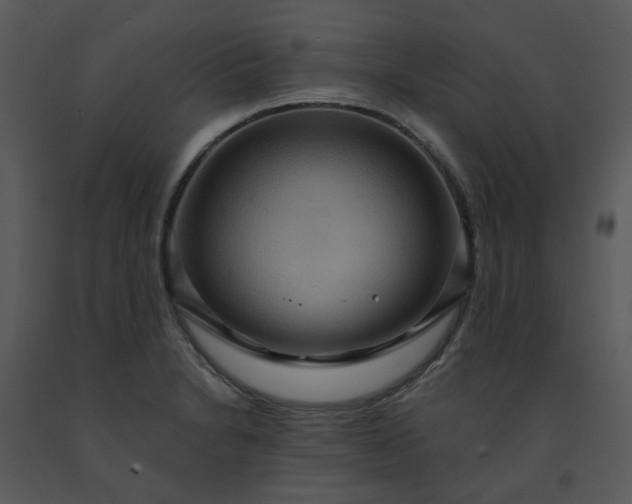 X0000091461230200708301824