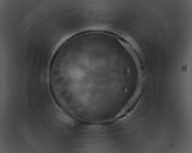 X0000091461232200708301824