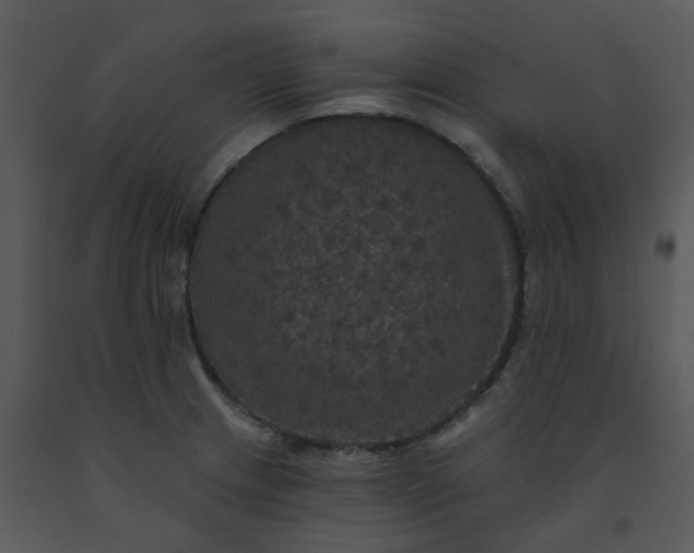 X0000091461233200708301824