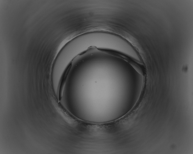 X0000091461234200708301824