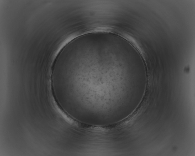 X0000091461235200708301824