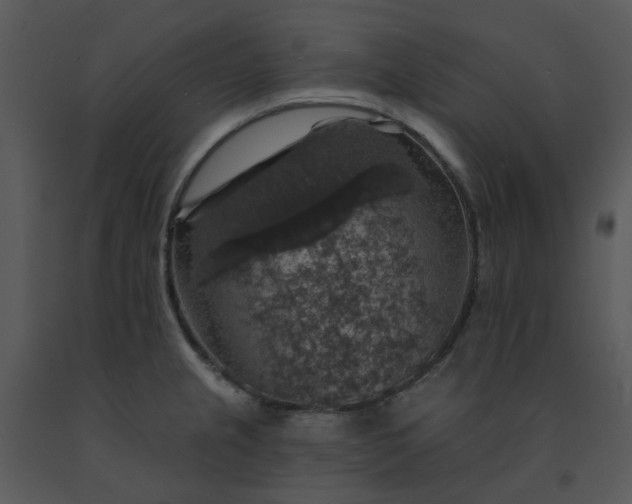 X0000091461237200708301824