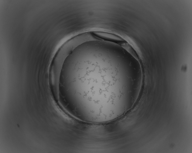 X0000091461238200708301824