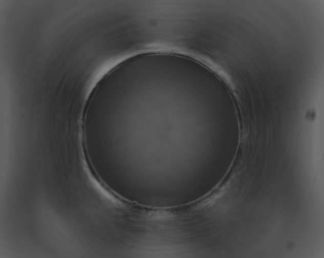 X0000091461239200708301824