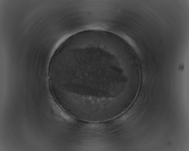 X0000091461240200708301824