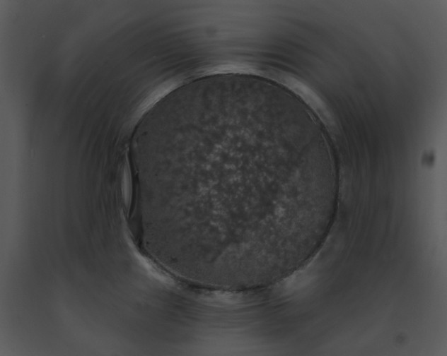 X0000091461241200708301824