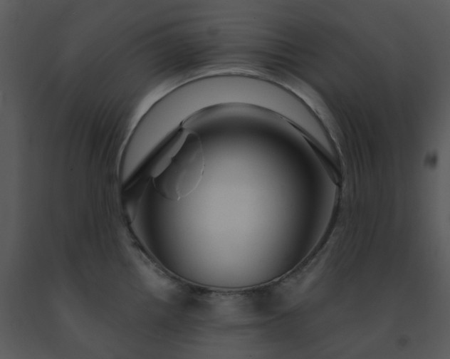 X0000091461242200708301824