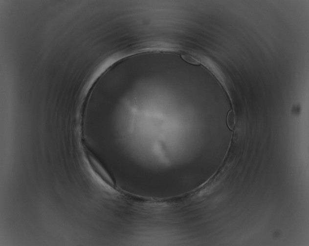 X0000091461243200708301824