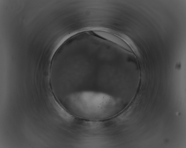 X0000091461244200708301824