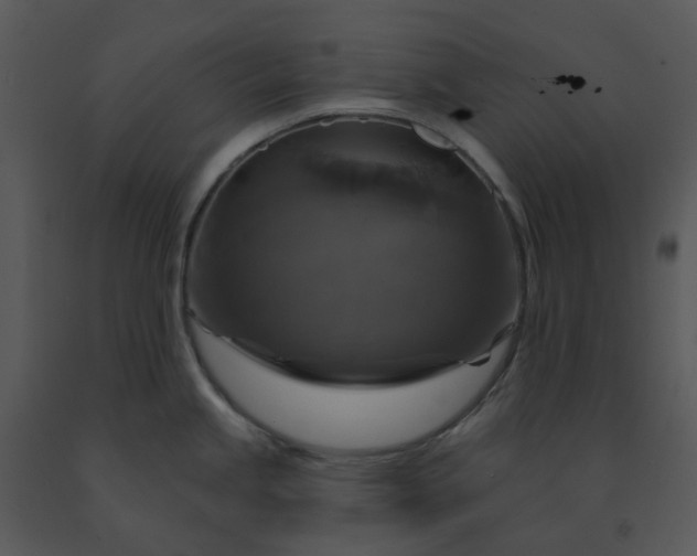 X0000091461245200708301824