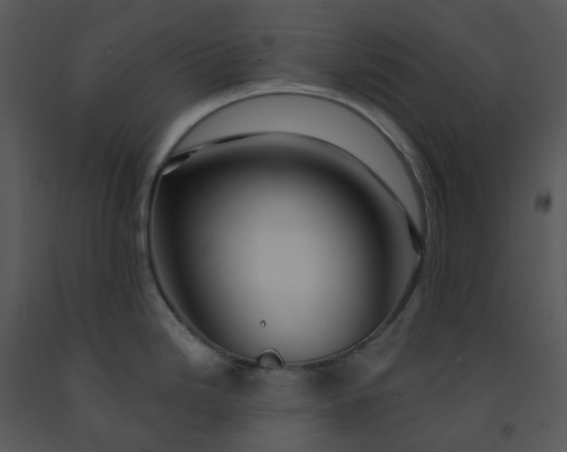 X0000091461246200708301824