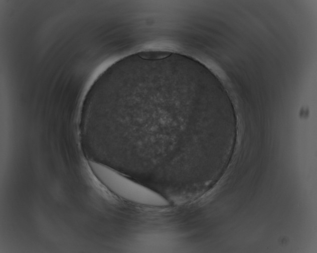 X0000091461248200708301824