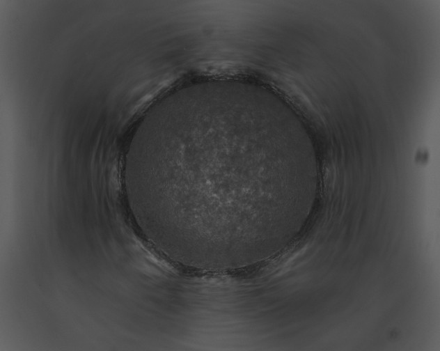 X0000091461250200708301823