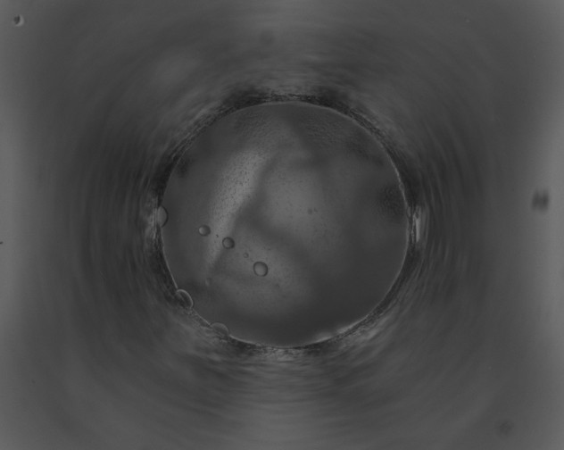 X0000091461251200708301823